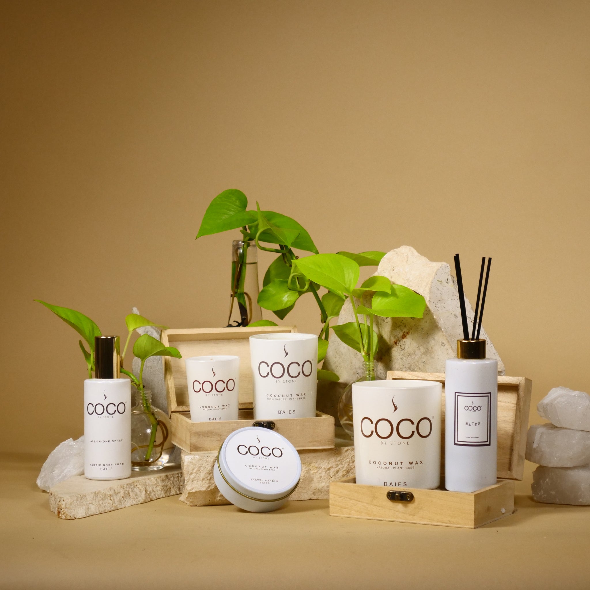 Baies Natural Coconut Apricot Wax Candle