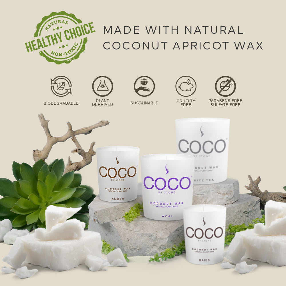 Blue Birch Natural Coconut Apricot Wax Candle