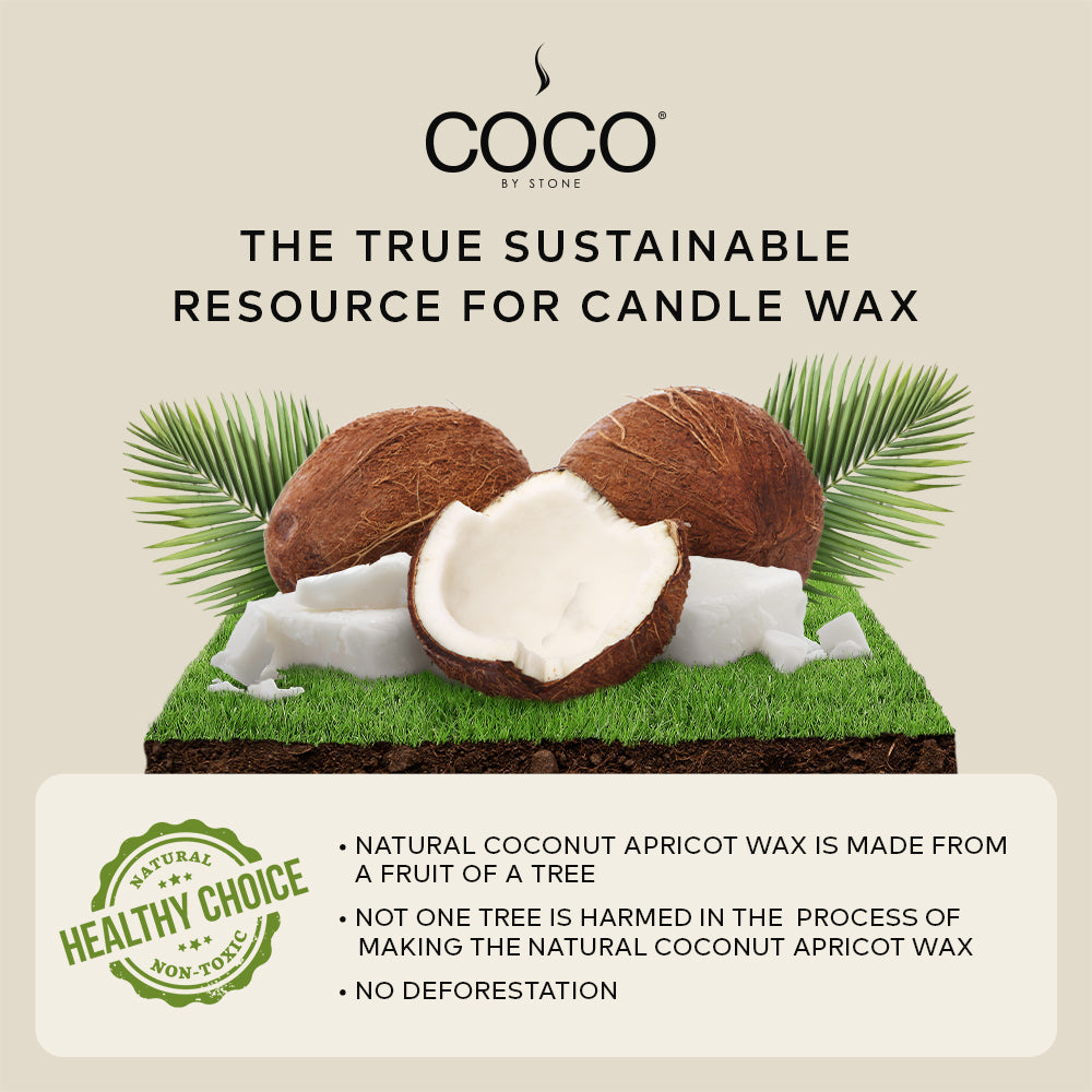 Black Currant Natural Coconut Apricot Wax Candle