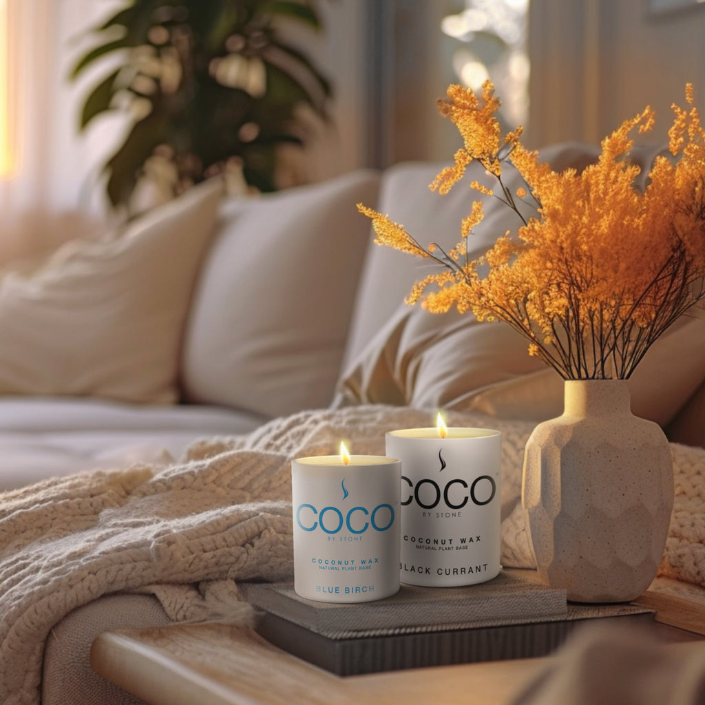 Black Currant Natural Coconut Apricot Wax Candle