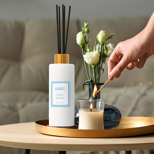 5oz Blue Birch Reed Diffuser | COCO Diffuser | Wiccan Center