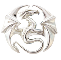Draco for Stability & Progress by Anne Stokes