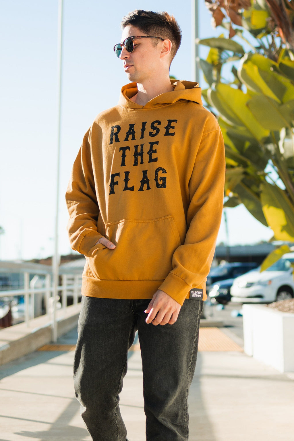 Raise the Flag Premium Toast Hoodie | | Wiccan Center