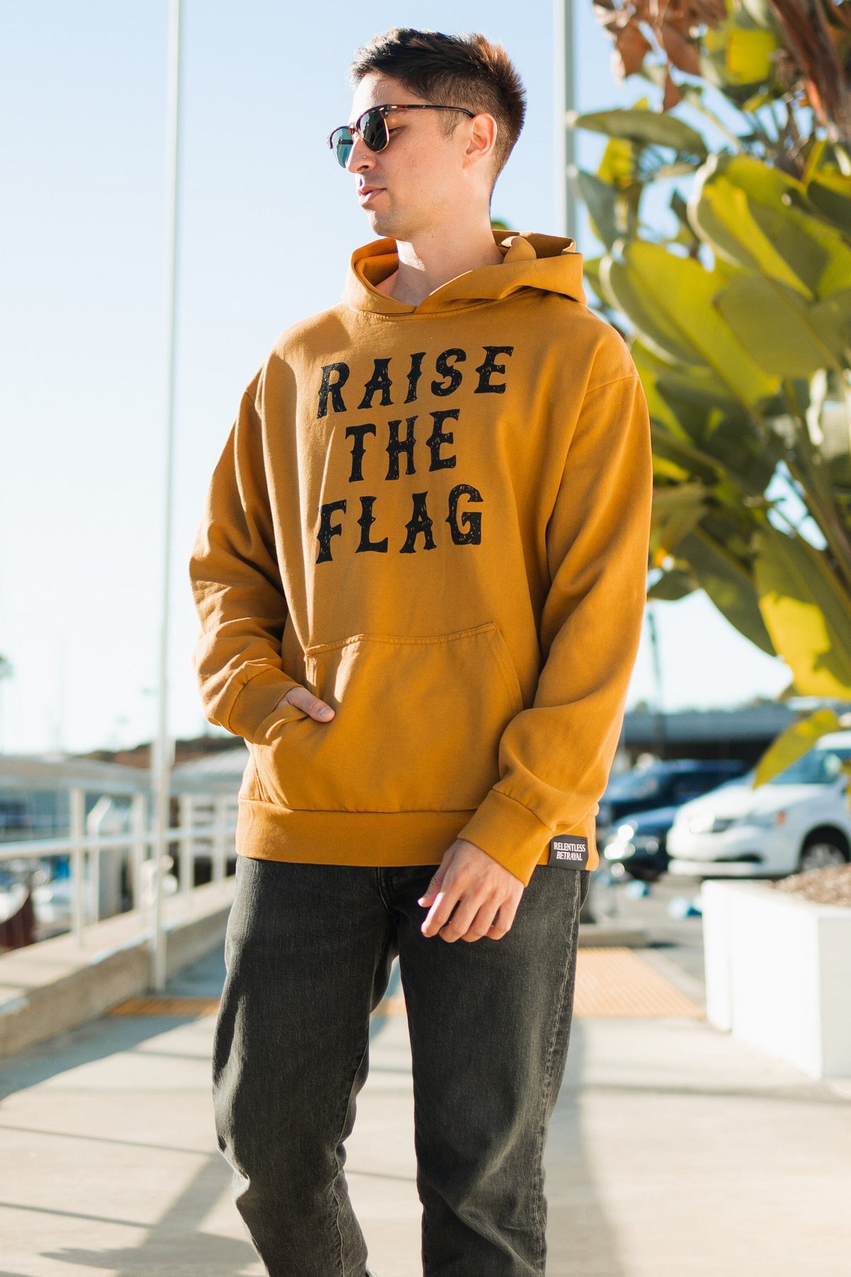 Raise the Flag Premium Toast Hoodie | | Wiccan Center