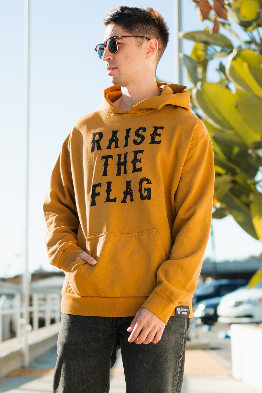 Raise the Flag Premium Toast Hoodie | | Wiccan Center