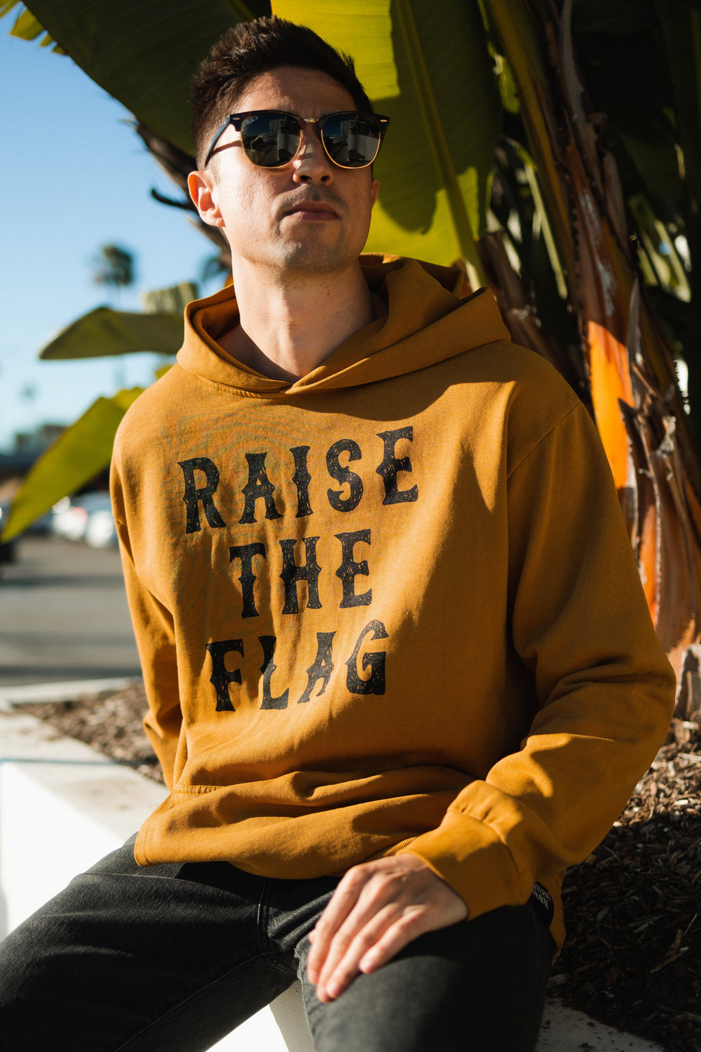 Raise the Flag Premium Toast Hoodie | | Wiccan Center