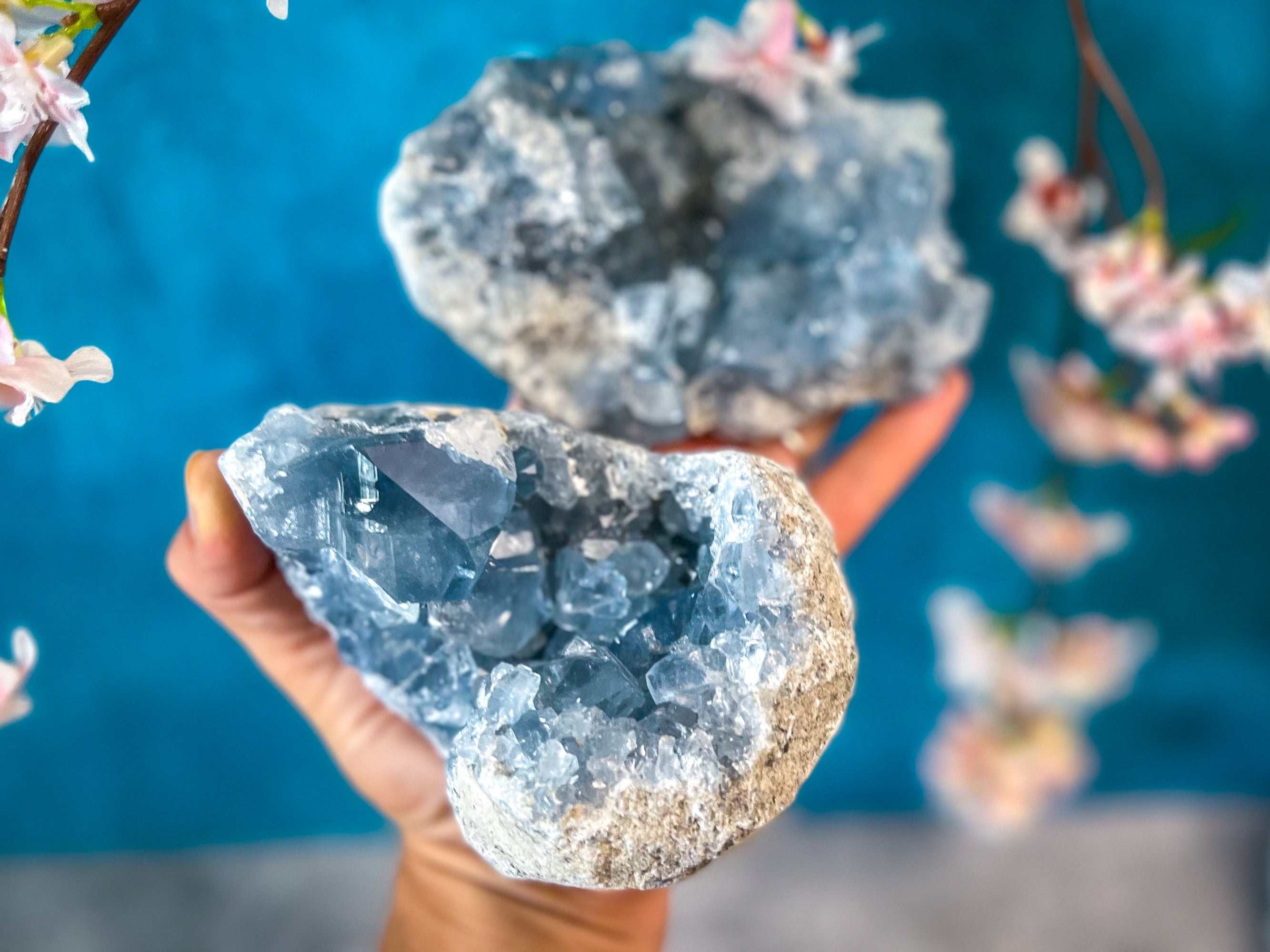 Large Ethically Sourced CELESTITE Clusters | | Wiccan Center