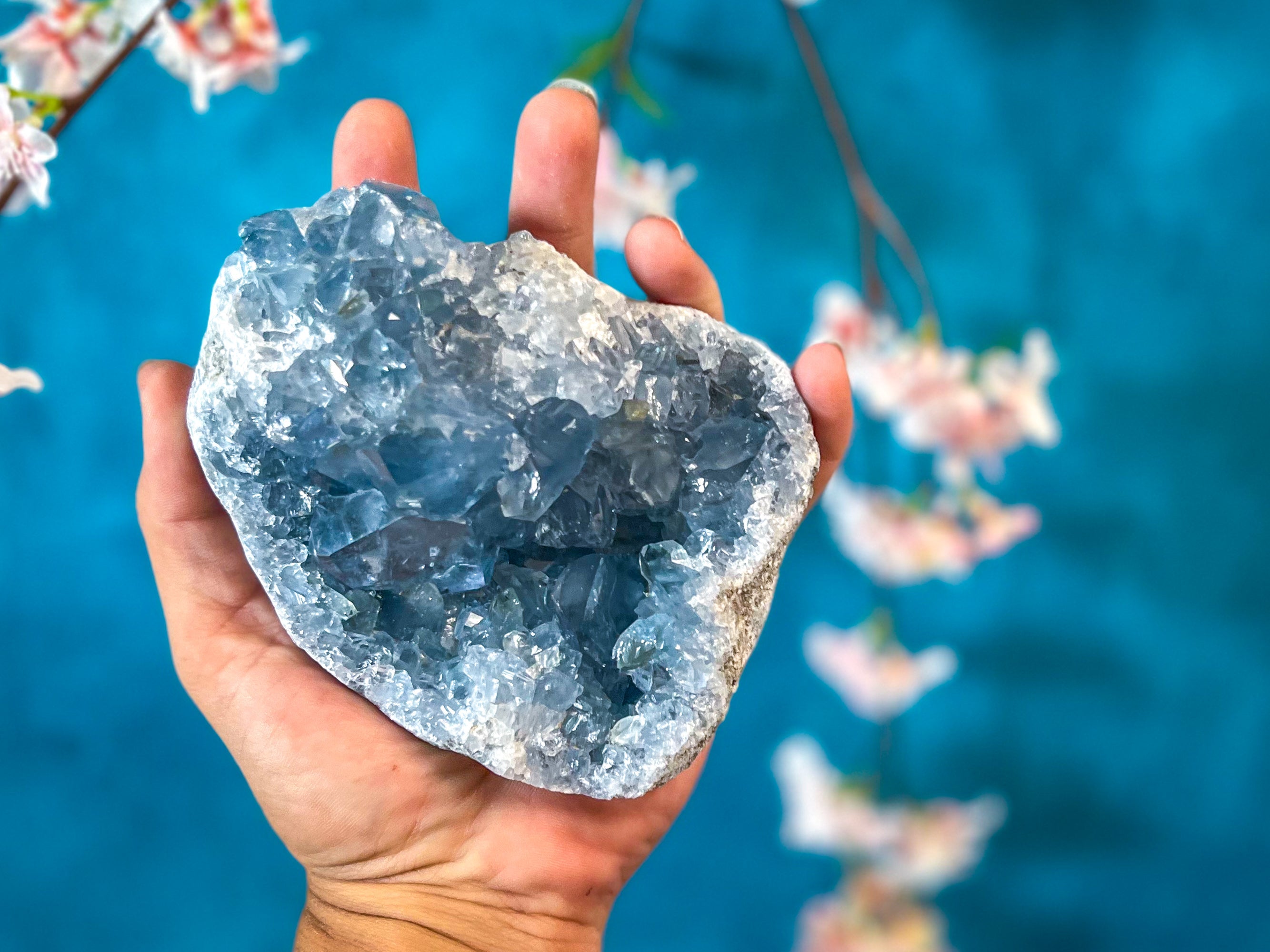Large Ethically Sourced CELESTITE Clusters | | Wiccan Center