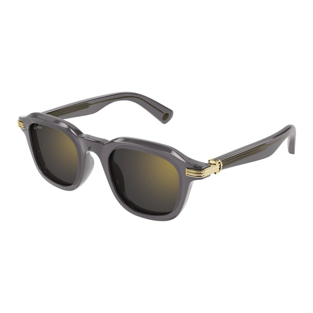 CARTIER Men's Classic Designer Sunglasses