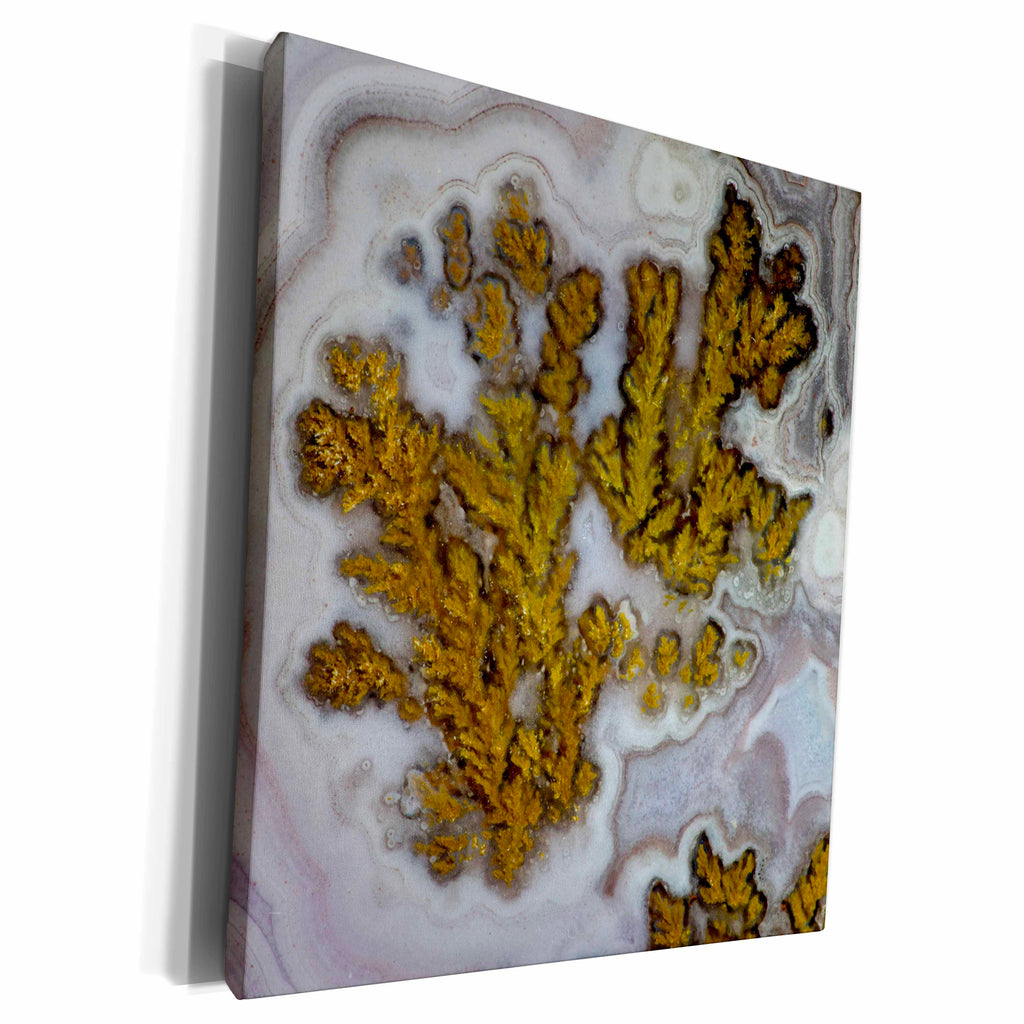 3dRose Danita Delimont - Rocks - Plume Agate, Quartzsite - Museum Grade Canvas Wrap (cw_229634)