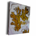 3dRose Danita Delimont - Rocks - Plume Agate, Quartzsite - Museum Grade Canvas Wrap (cw_229634)