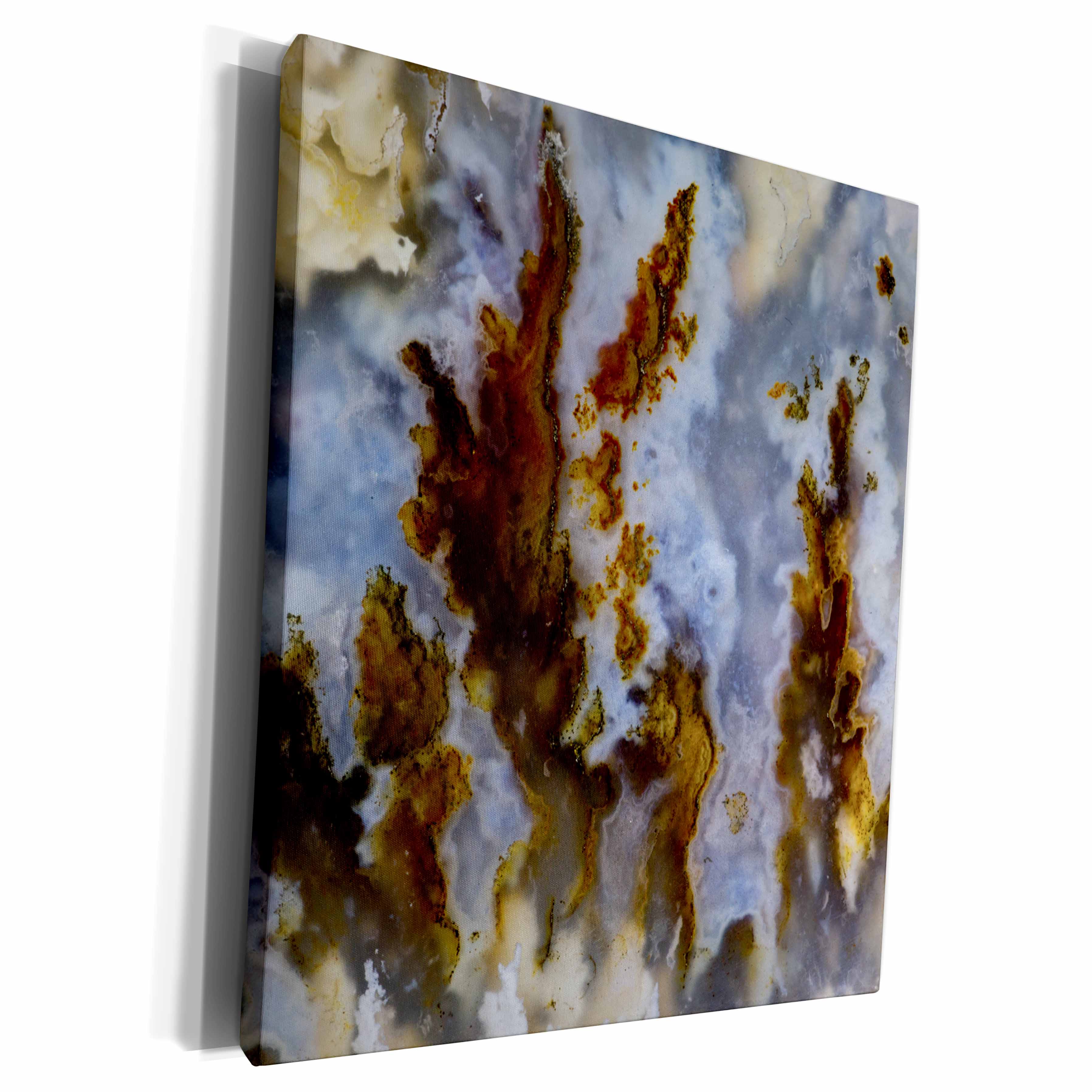 3dRose Graveyard Point Plume Agate Oregon - Museum Grade Canvas Wrap (cw_231693)