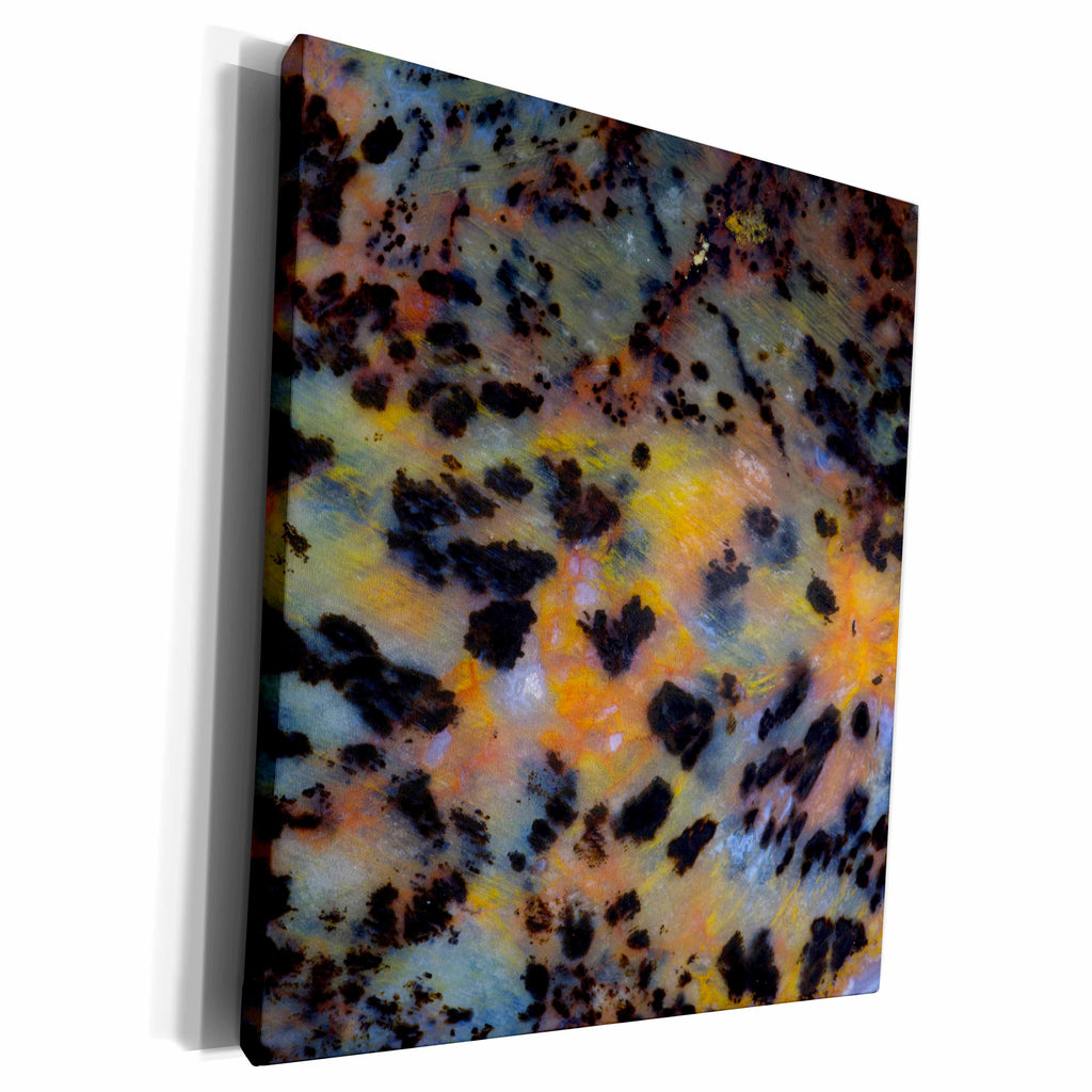 3dRose Danita Delimont - Abstract - Cheetah Agate - Museum Grade Canvas Wrap (cw_231701)