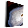 3dRose Image of Close Up Of Pearly White Agate - Museum Grade Canvas Wrap (cw_255409)