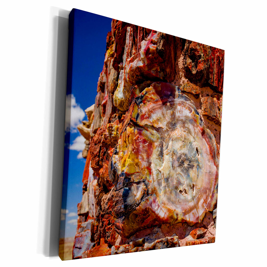 3dRose Agate House, Petrified Forest NP, Arizona, USA. - Museum Grade Canvas Wrap (cw_331054)