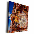 3dRose Agate House, Petrified Forest NP, Arizona, USA. - Museum Grade Canvas Wrap (cw_331054)