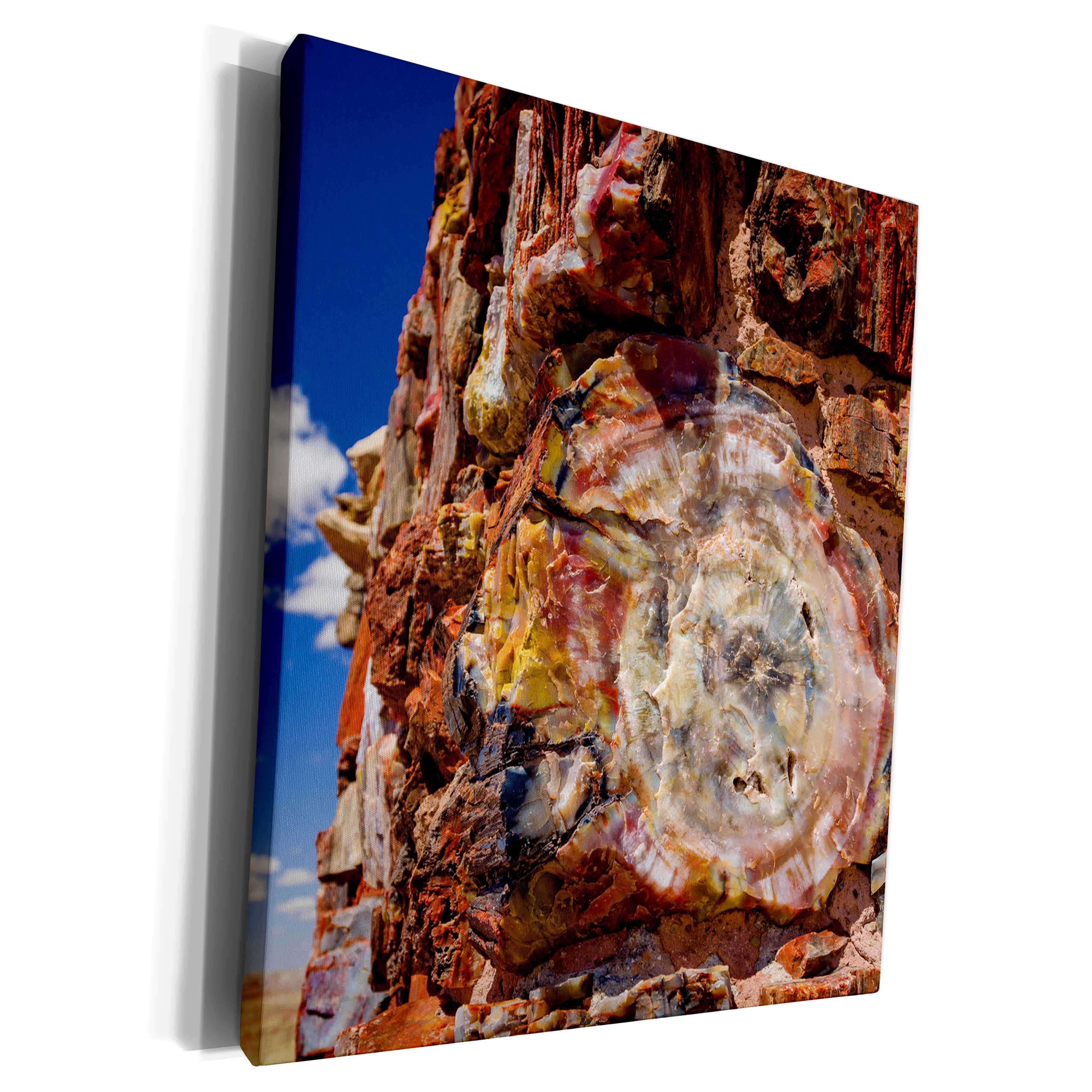 3dRose Agate House, Petrified Forest NP, Arizona, USA. - Museum Grade Canvas Wrap (cw_331054)