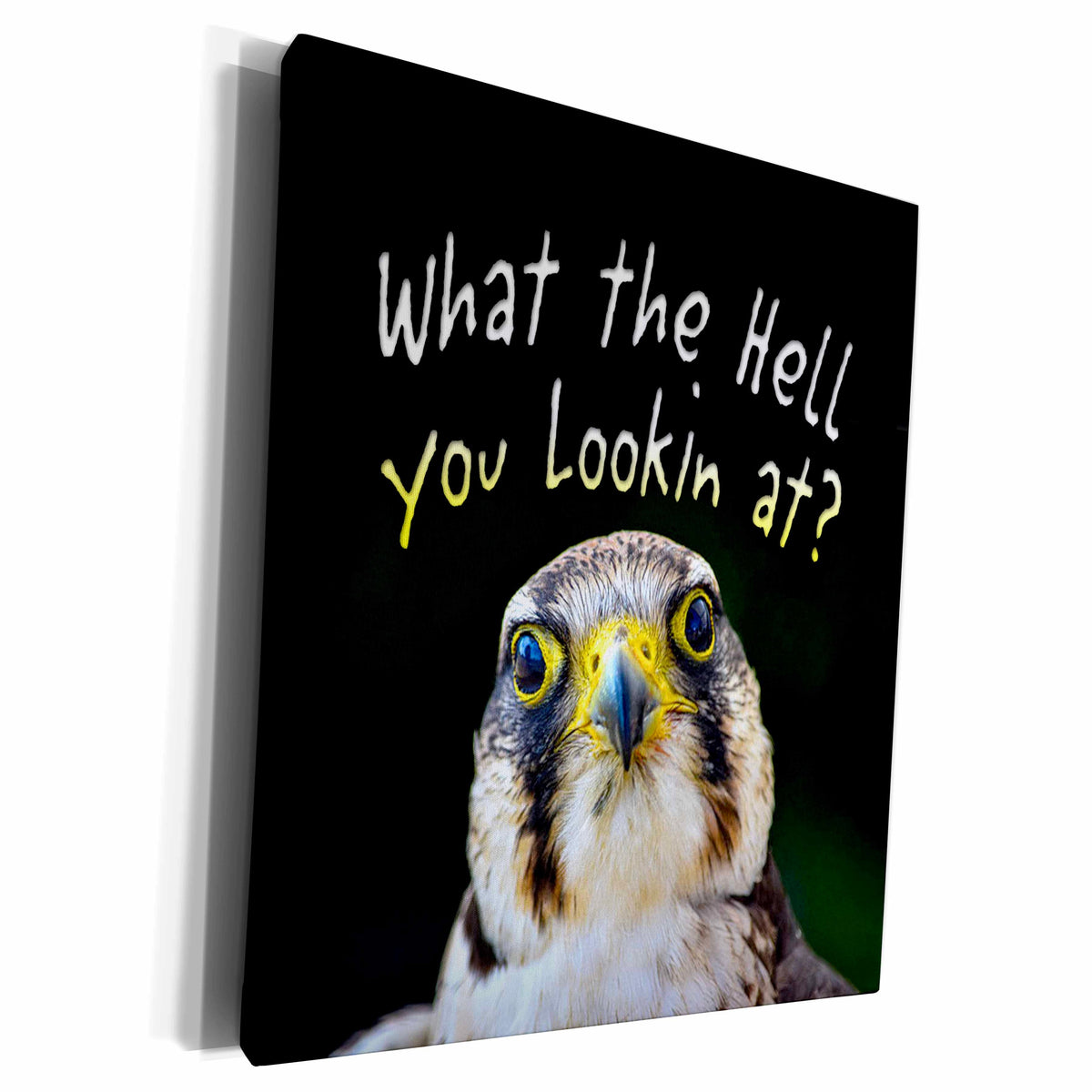 3dRose Image of Words What The Hell You Lookn At With Bird... - Museum Grade Canvas Wrap (cw_354761) | Museum Grade Canvas Wrap | Wiccan Center