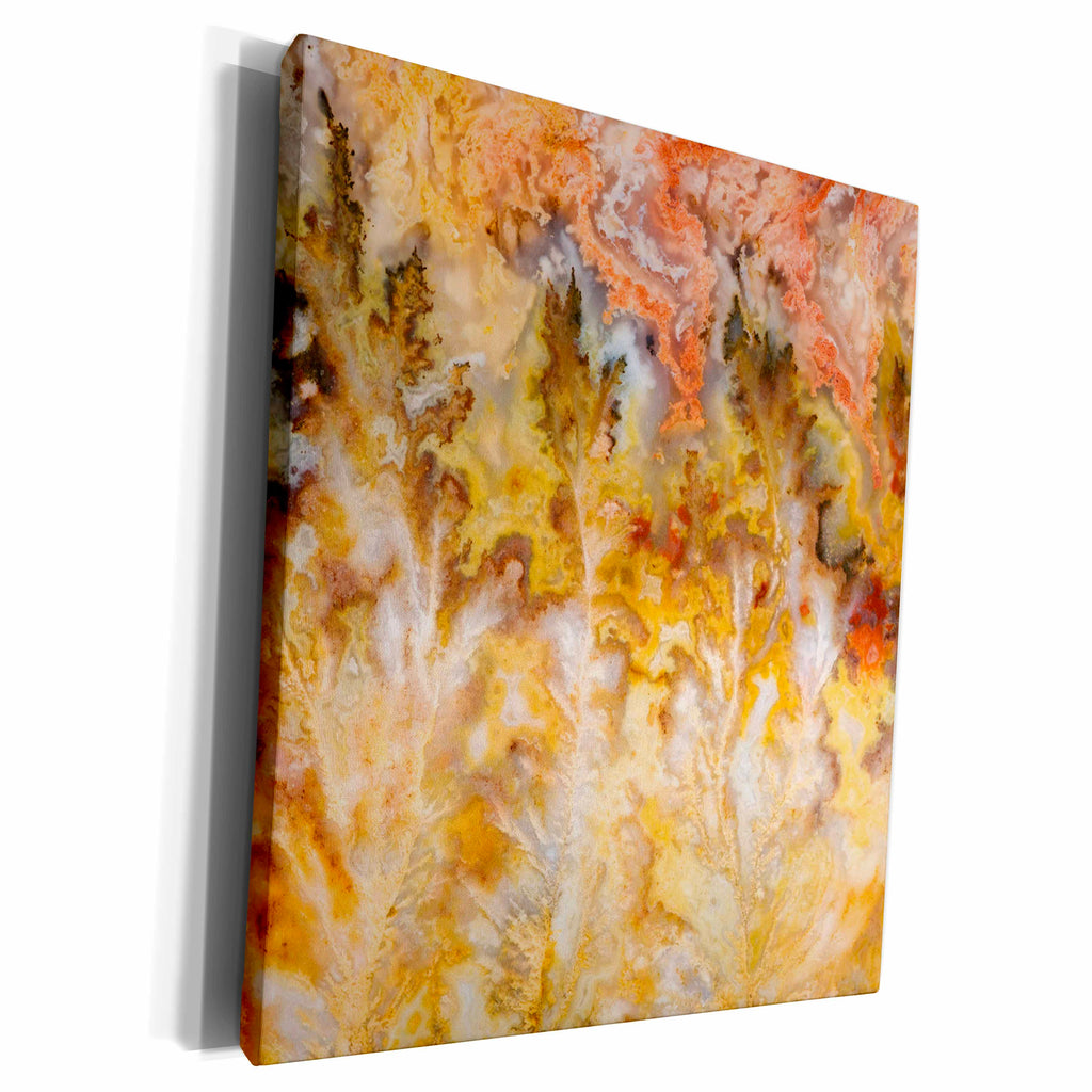 3dRose Oregon. Graveyard Point Plume Agate stone - US38... - Museum Grade Canvas Wrap (cw_93711)