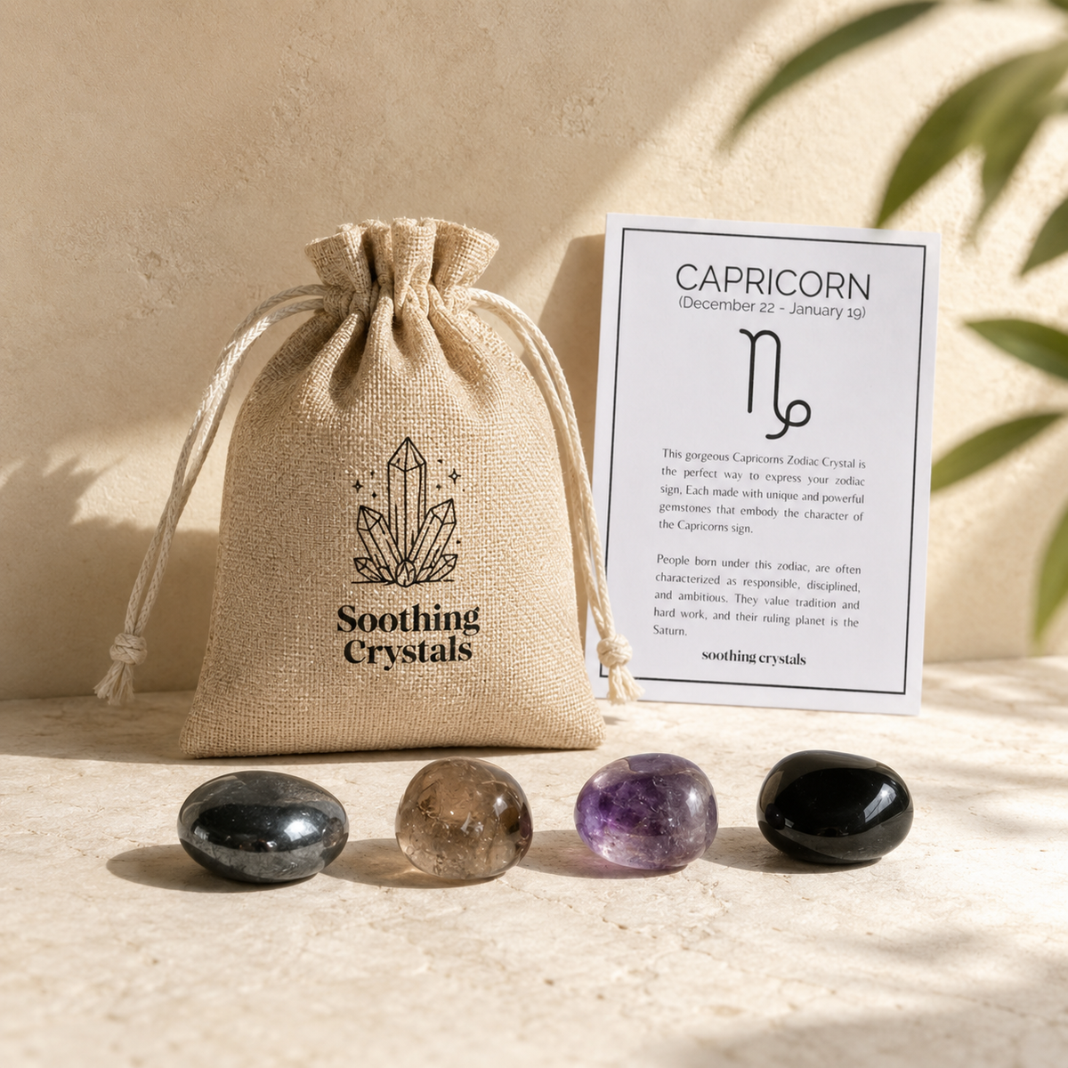 CAPRICORN Zodiac Crystal Kit, Capricorn Birthstones Tumbled Stone Set, Capricorn Gifts