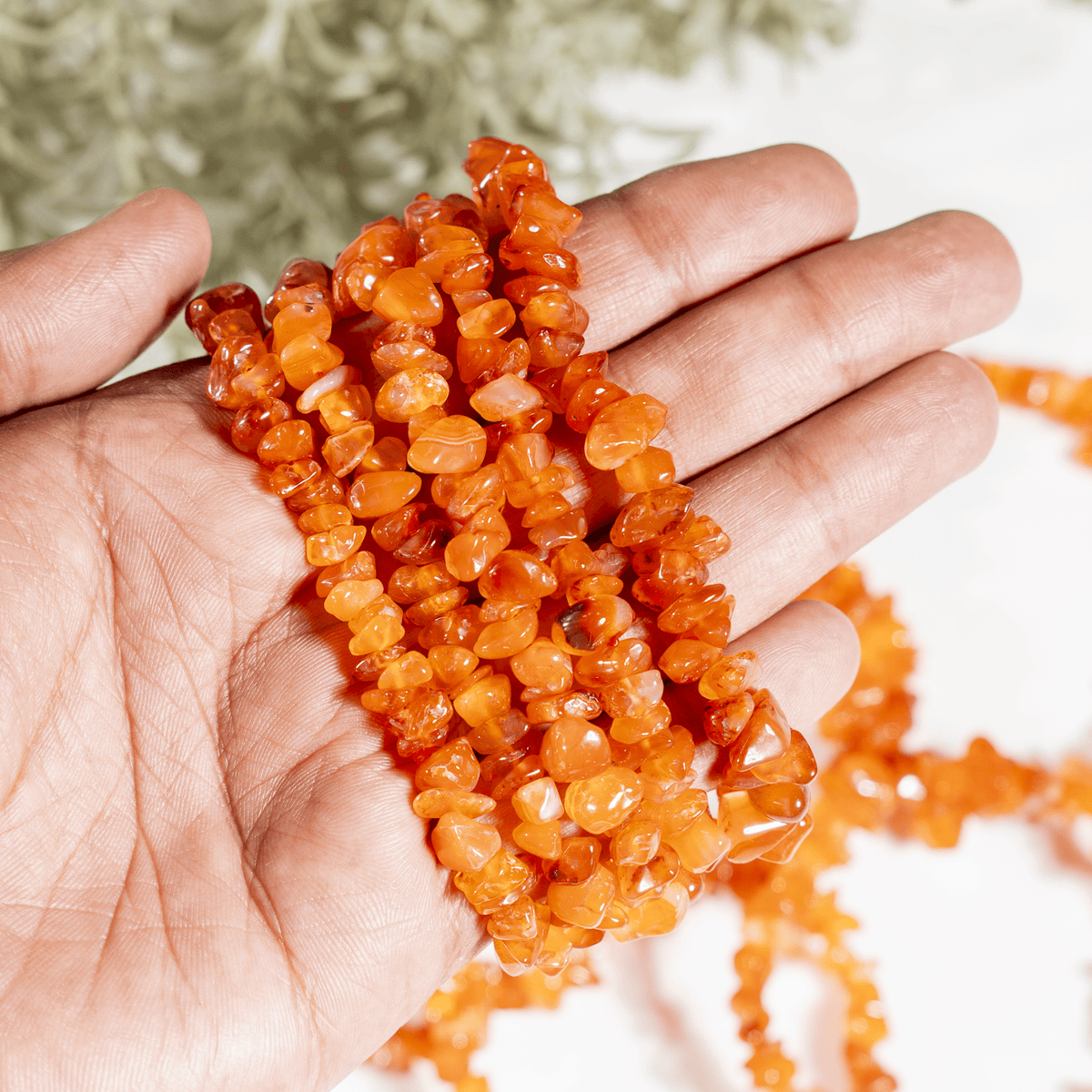 Carnelian Chip Bracelet (Abundance and Relationships)