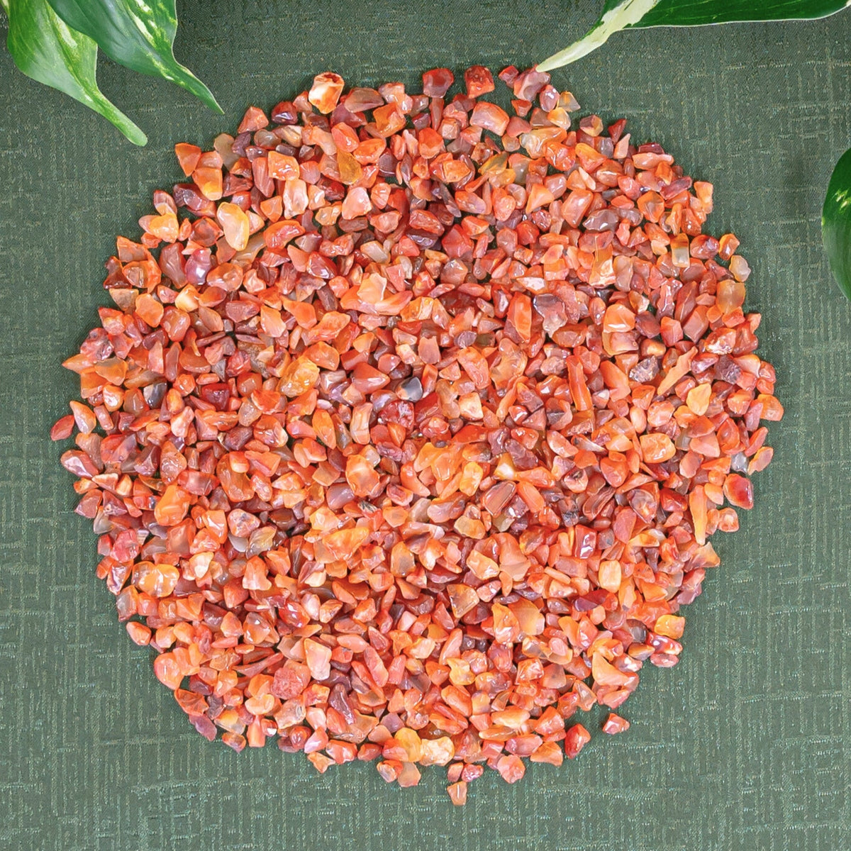 Carnelian Crystal Chips 1lb