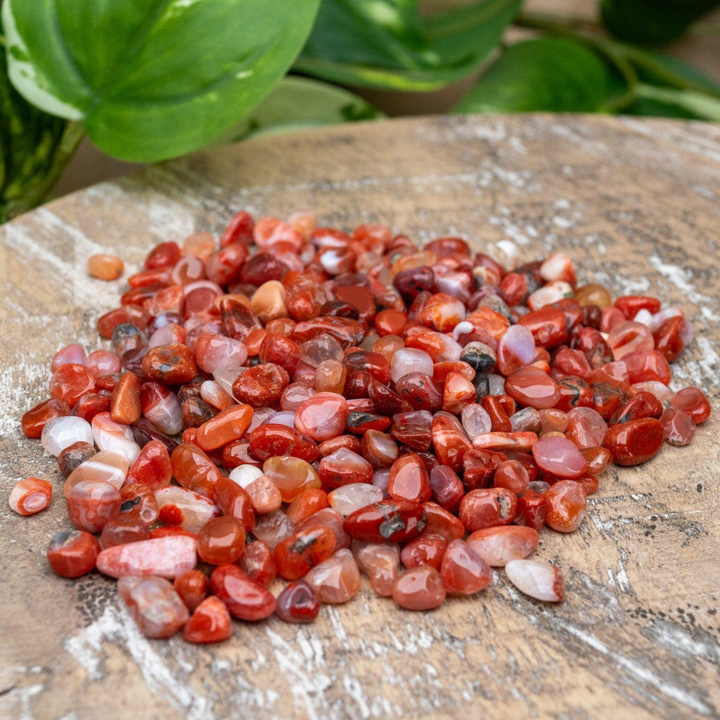 Carnelian Crystal Chips 1lb | Gemstones | Wiccan Center