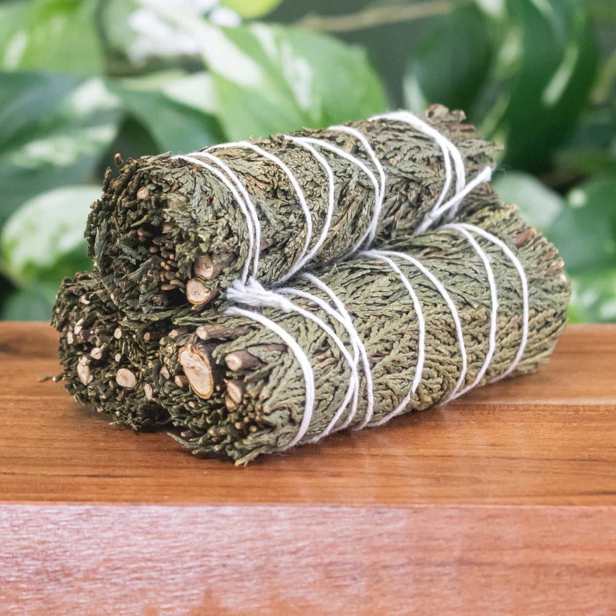 Cedar Smudge Stick | | Wiccan Center
