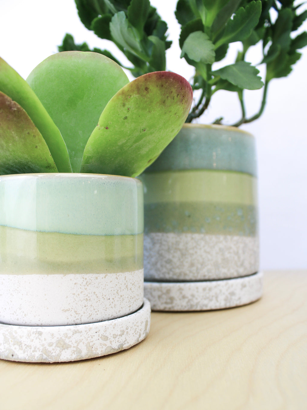 Cement Green Ceramic Plant Pot and Saucer | plant pot | Wiccan Center