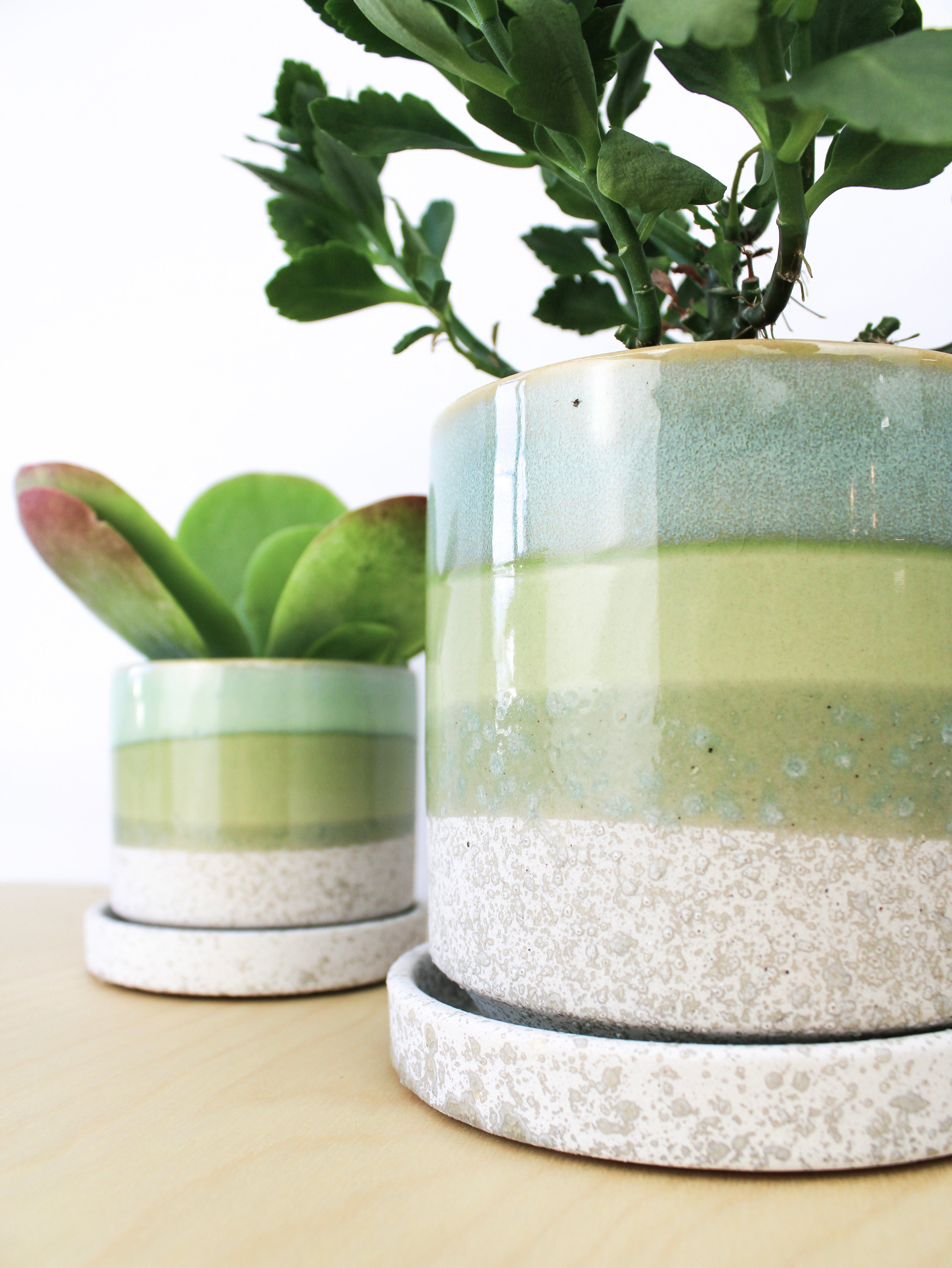 Cement Green Ceramic Plant Pot and Saucer | plant pot | Wiccan Center