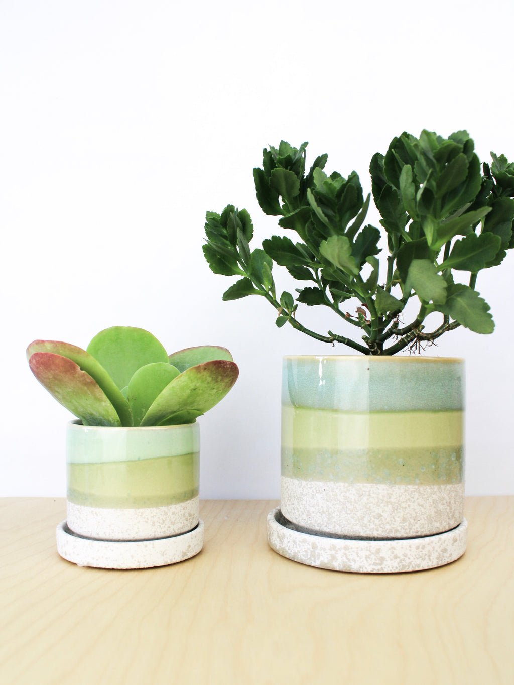 Cement Green Ceramic Plant Pot and Saucer | plant pot | Wiccan Center