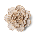 Ceramic Flower Wall Art Lettuce Pearl 6: Sea Lettuce Large Pearl | Object | Wiccan Center