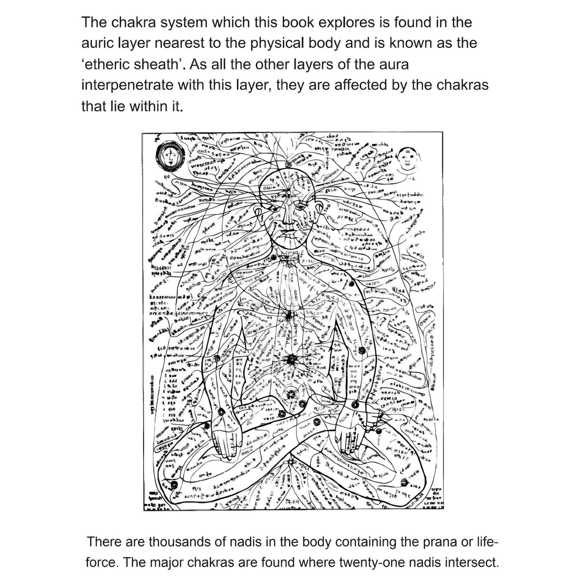 Chakra Workbook: Rebalance Your Body's Vital Energies | | Wiccan Center