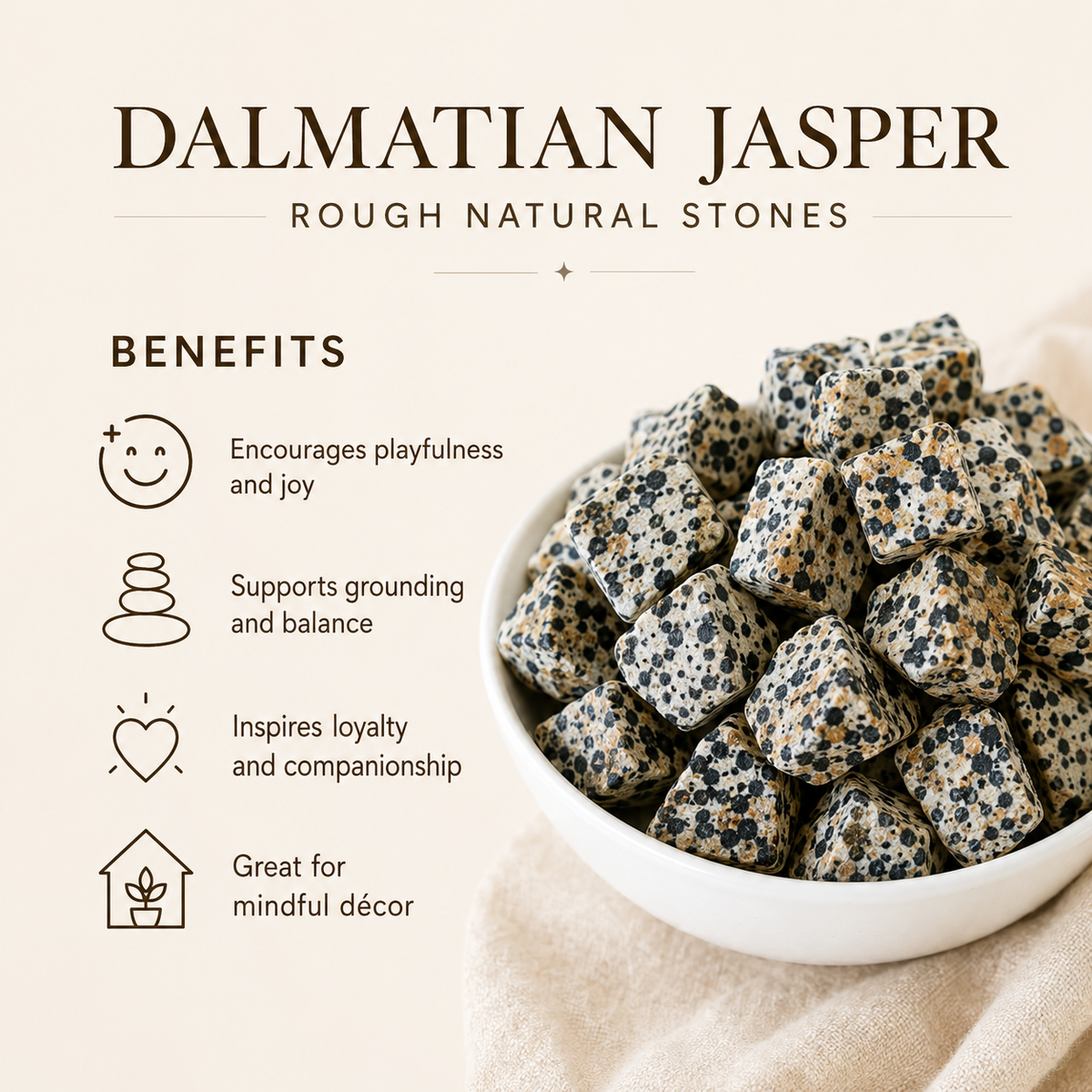 Dalmatian Jasper Rough Rocks (Grounding Energy and Good Fortune)