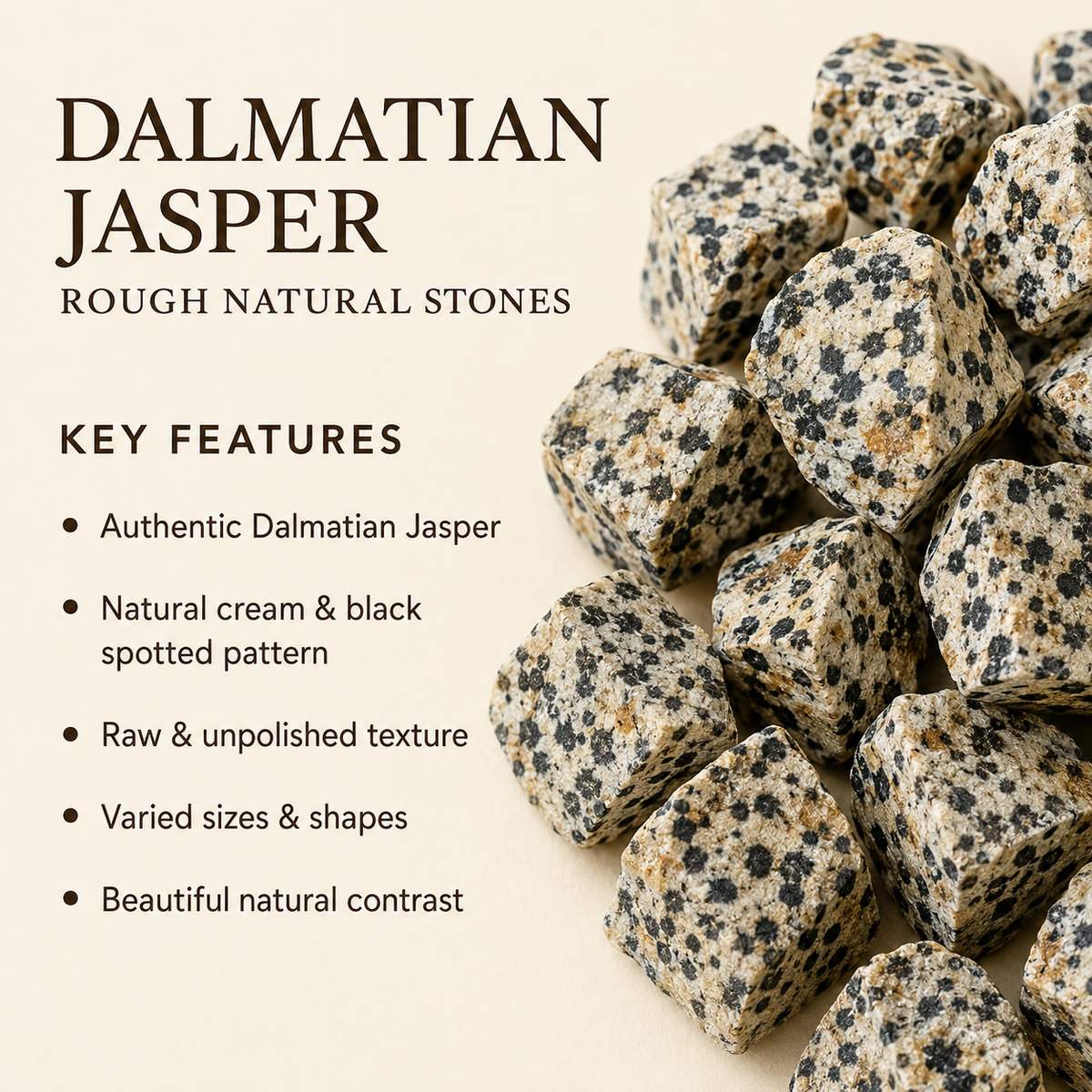 Dalmatian Jasper Rough Rocks (Grounding Energy and Good Fortune)
