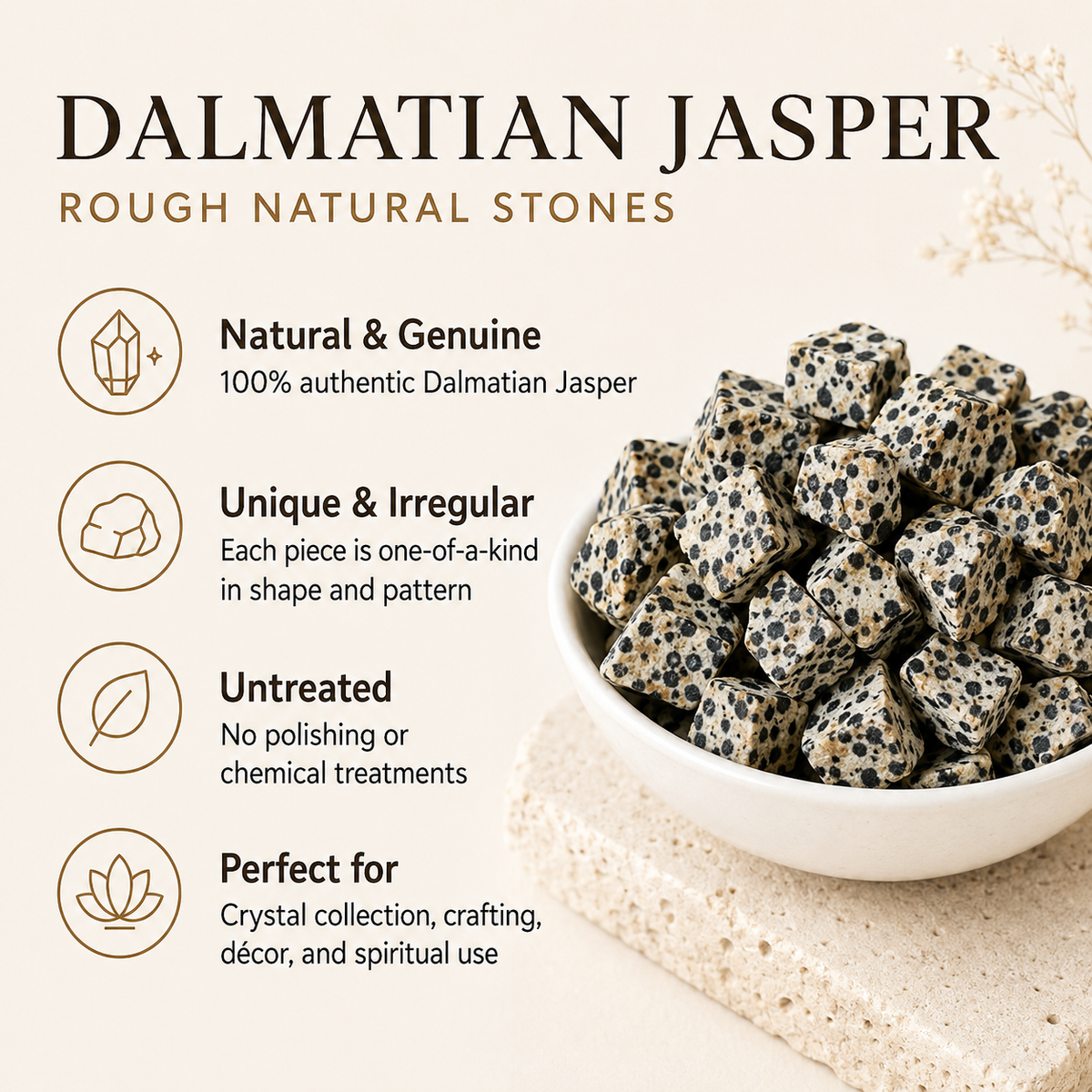 Dalmatian Jasper Rough Rocks (Grounding Energy and Good Fortune)
