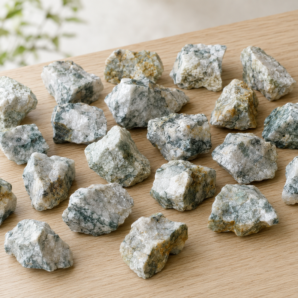 Tree Agate Rough Rocks (Trust and Self-Discipline) | Rough Chunks | Wiccan Center