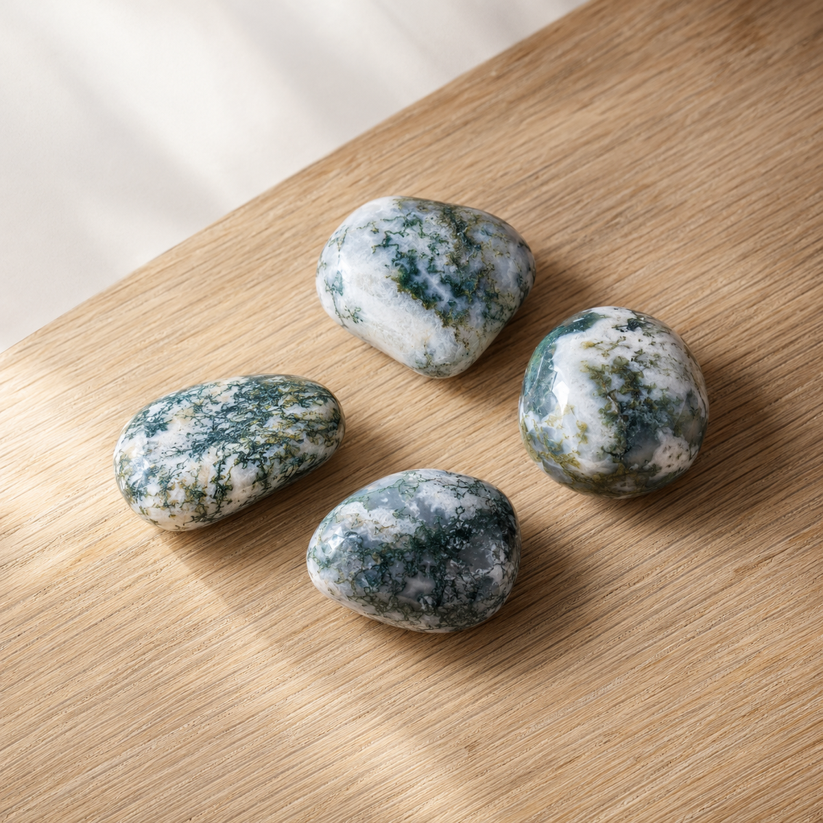 Tree Agate Tumbled Crystals (Knowledge and Trust)