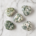 Tree Agate Tumbled Crystals (Knowledge and Trust)