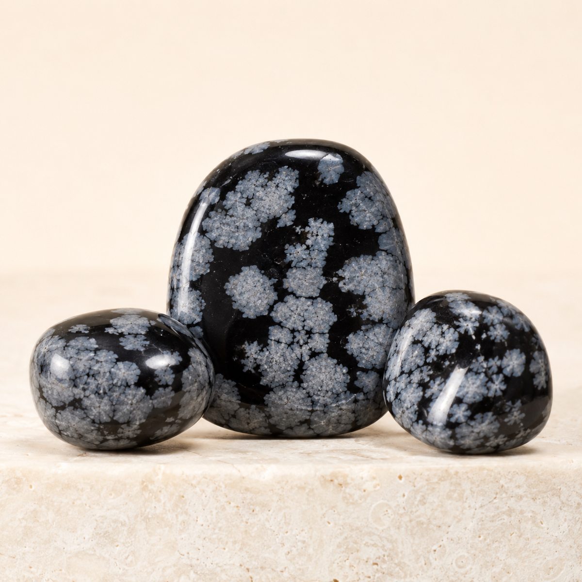 Snowflake Obsidian Tumbled Crystals (Alignment With The Higher Self and Channeling)
