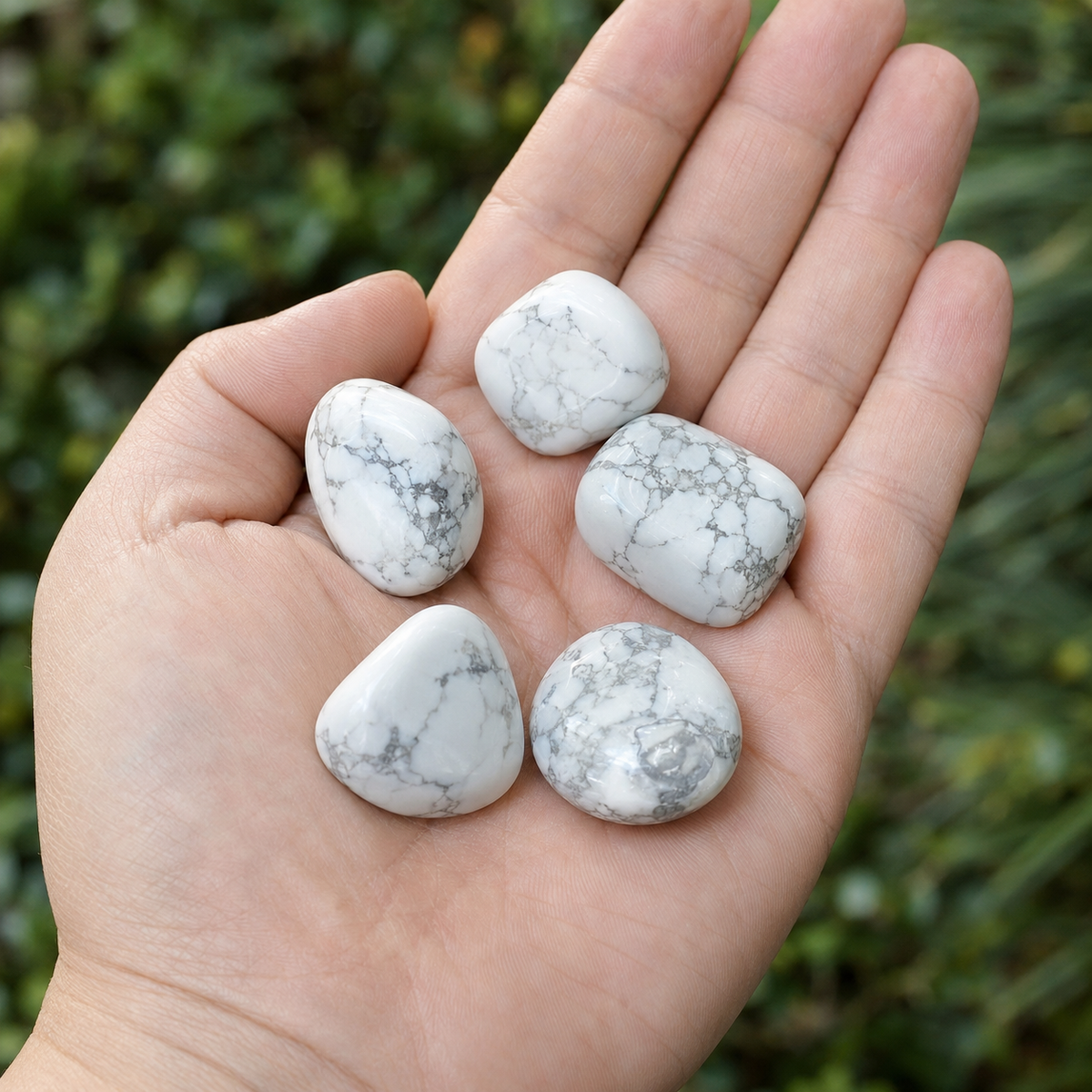 Howlite Tumbled Crystals (Insight and Inspiration)