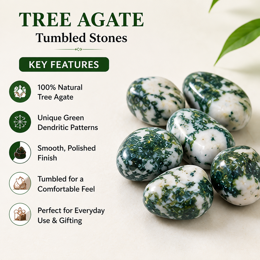 Tree Agate Tumbled Crystals (Knowledge and Trust)