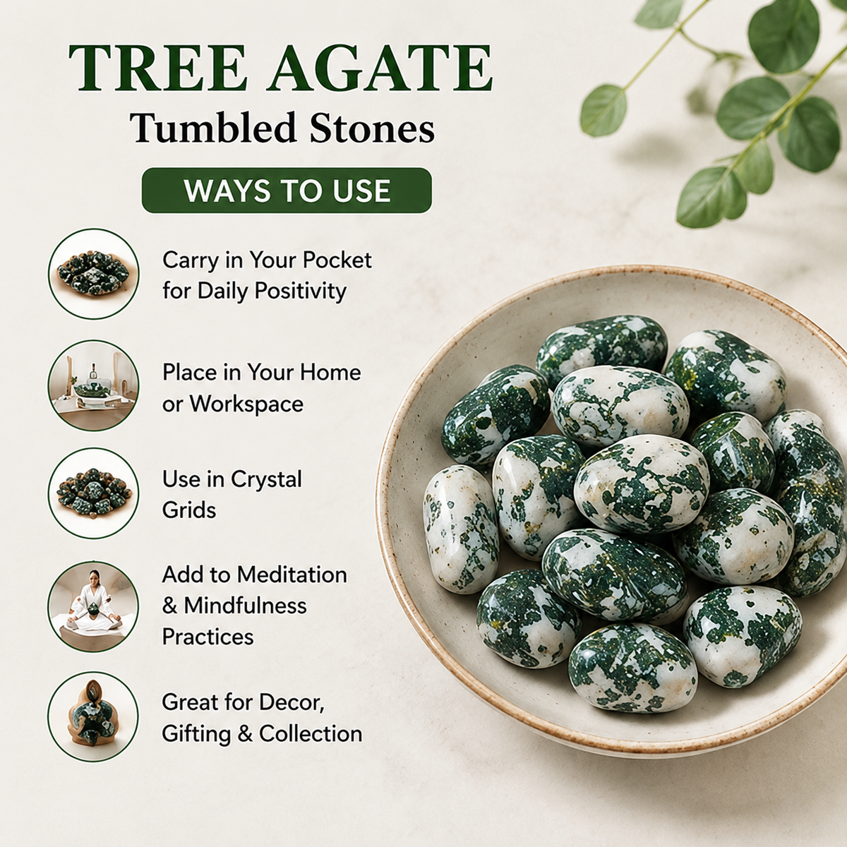 Tree Agate Tumbled Crystals (Knowledge and Trust)