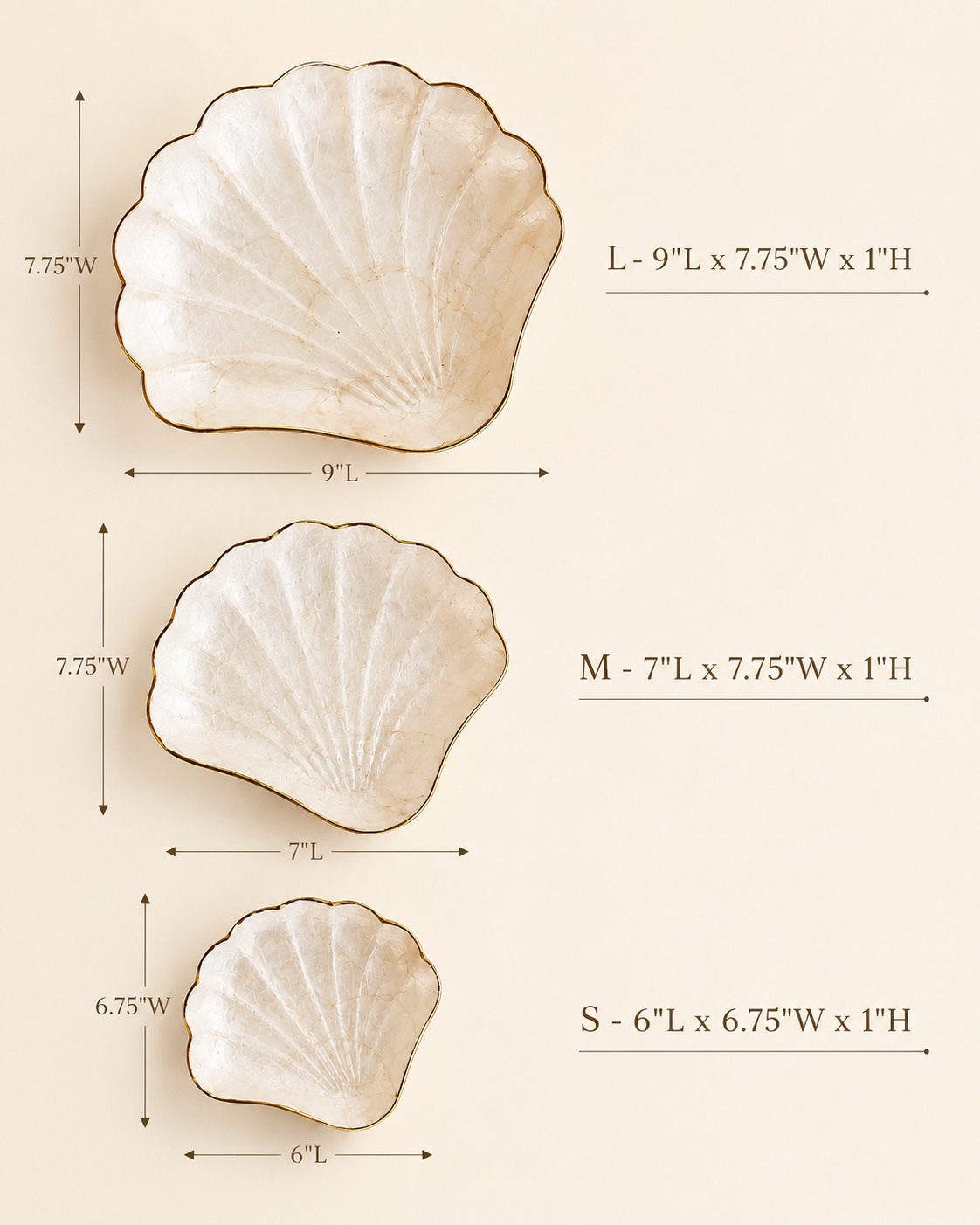 Mother of Pearl Scallop Catch-all Set of 3 | | Wiccan Center