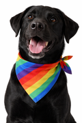 LGBTQ+ Pride Rainbow Pet Bandana Scarf – Adjustable Dog & Cat Bandana - Pride Pet Accessory | | Wiccan Center