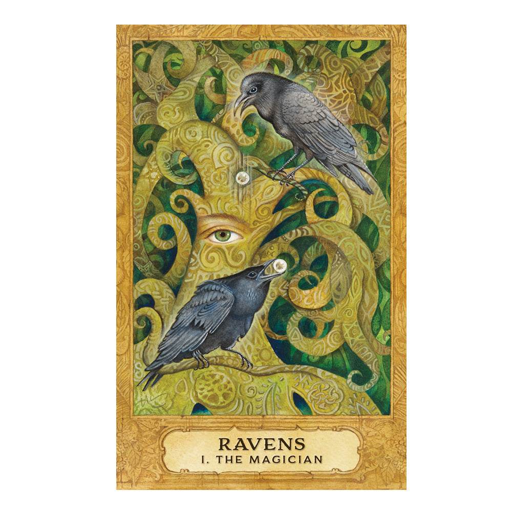 Chrysalis Tarot Deck and Book Set | Tarot Cards | Wiccan Center