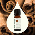 Plant Therapy Cinnamon Bark Essential Oil 10 Ml