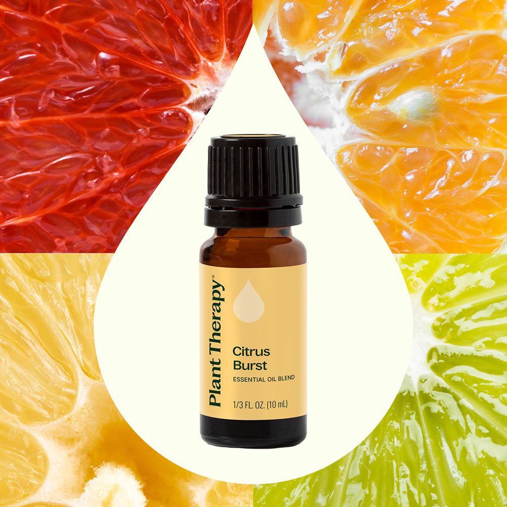 Plant Therapy Citrus Burst Essential Oil 10 Ml
