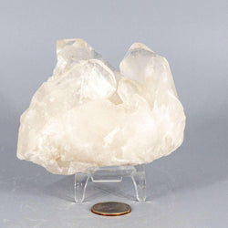 Clear Quartz Point Cluster | 472g Natural Crystal Specimen | Clusters | Wiccan Center