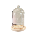 Cloche Glass Bell